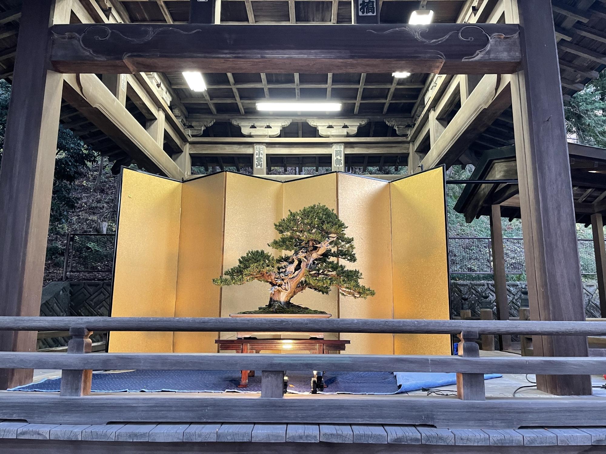 前回の盆栽奉納の様子