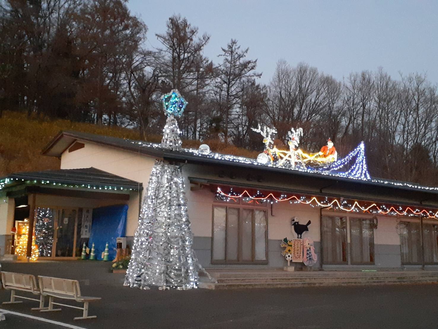 イルミネーション