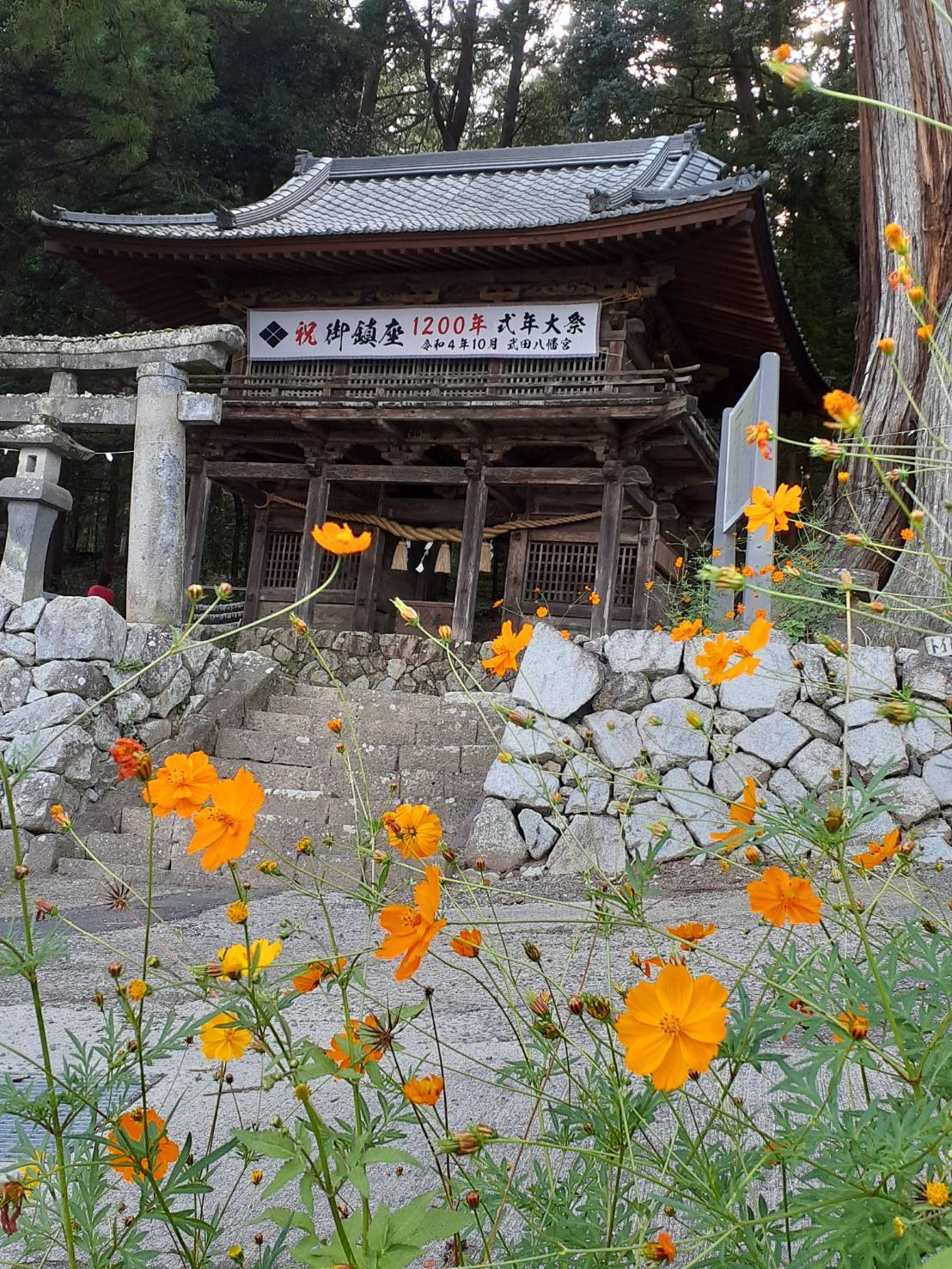 武田八幡宮