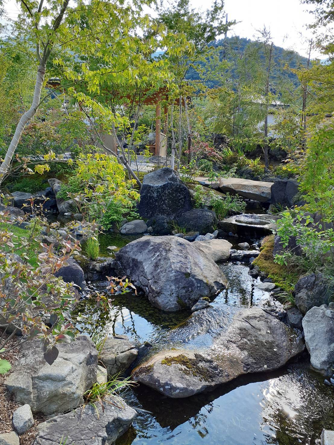 庭園の様子