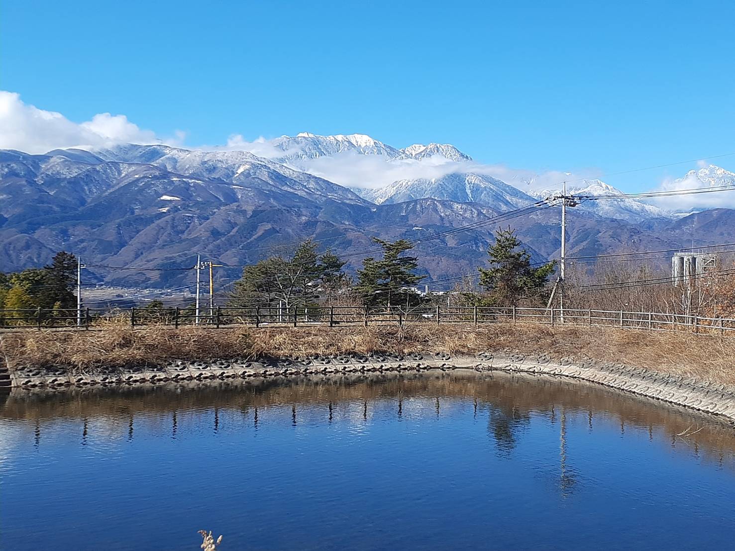 鳥の小池