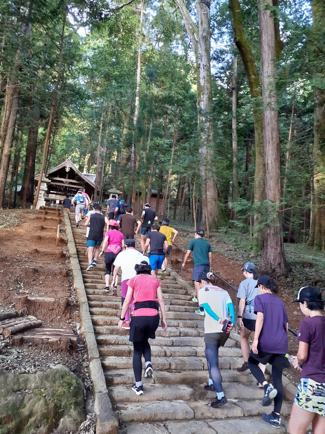 武田八幡宮の階段を駆け上がる様子