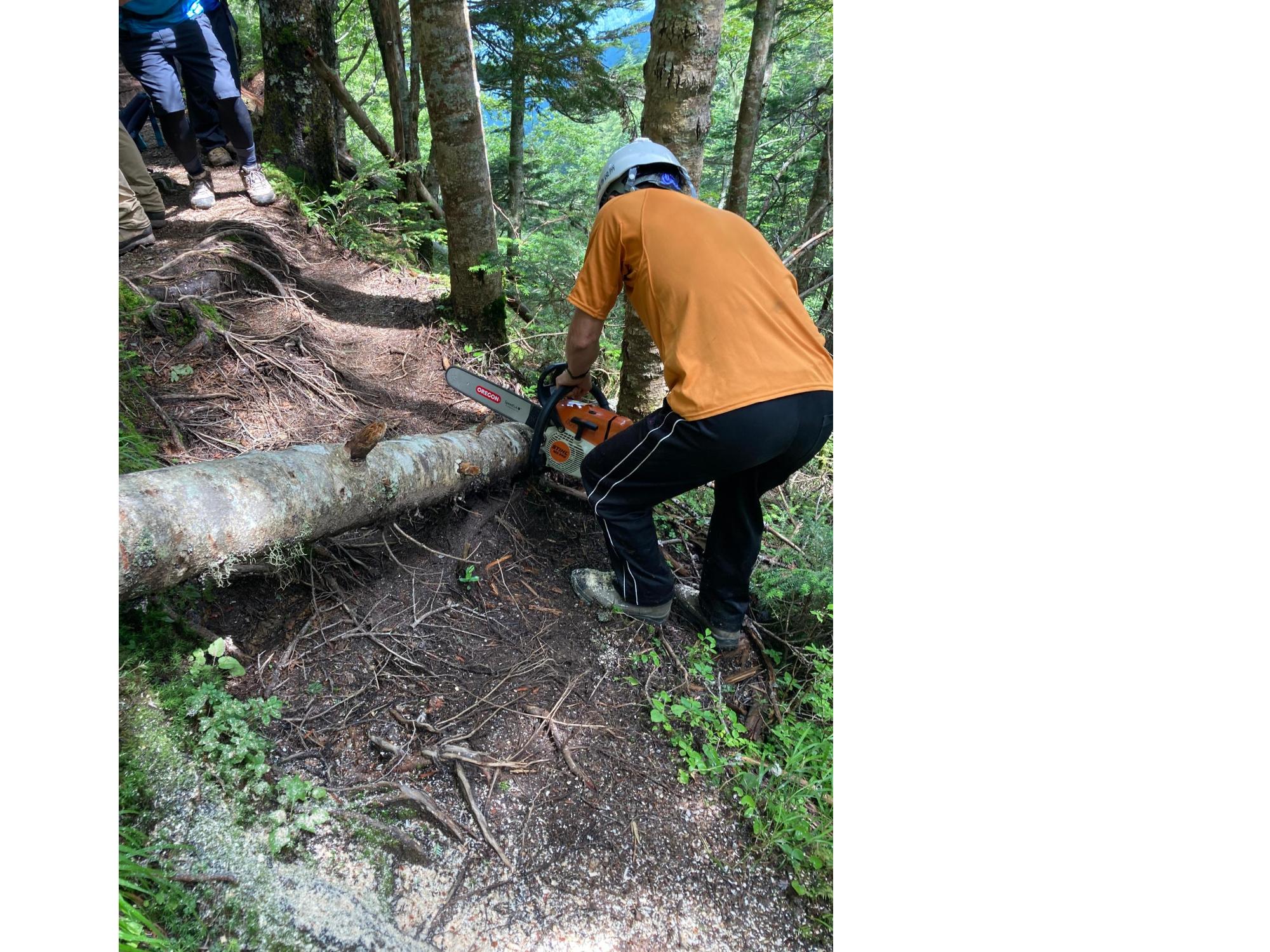 ドンドコ沢ルート登山道整備