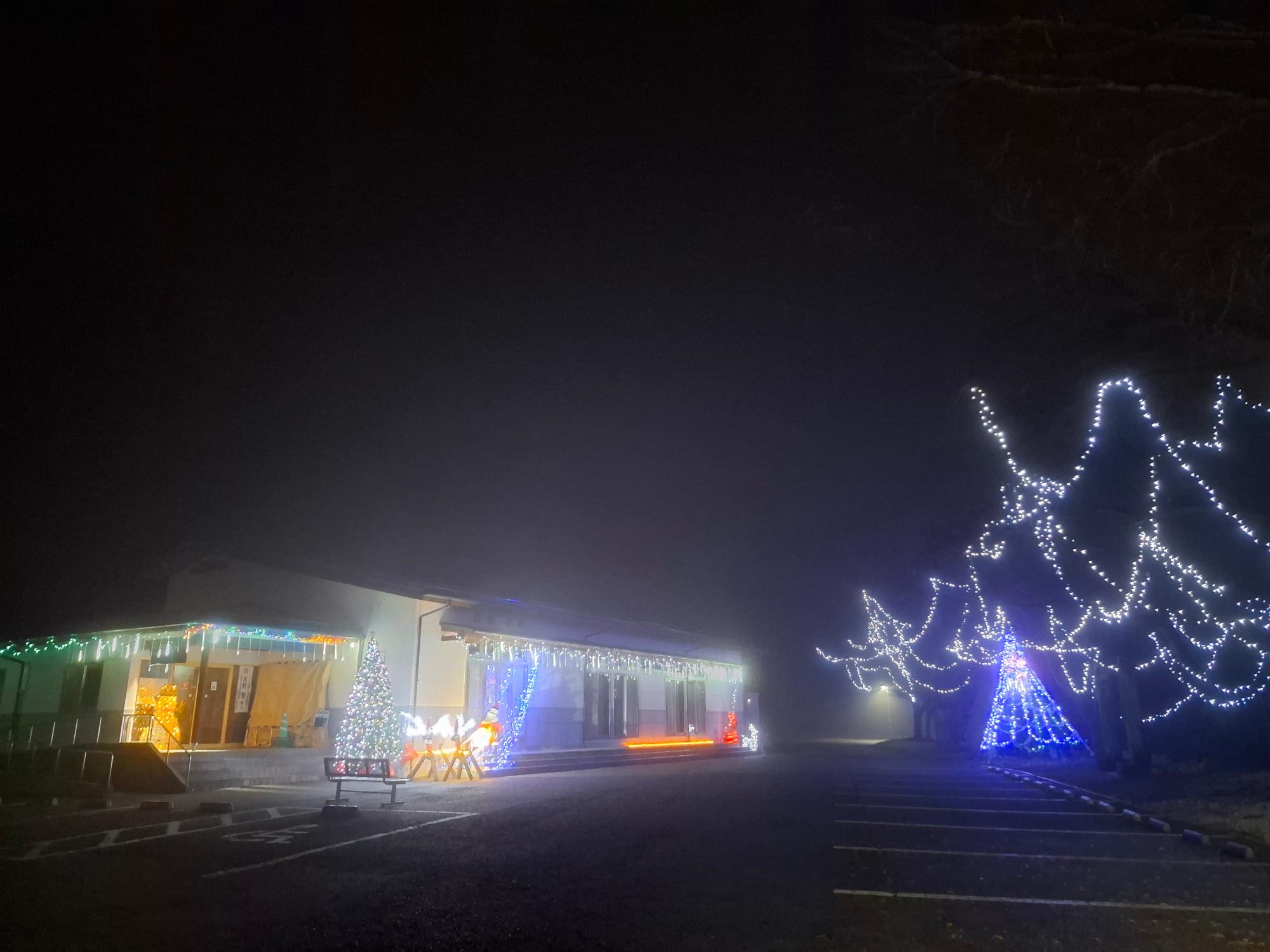 イルミネーションの様子