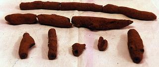 赤茶色の楕円形の物や細長い棒状の物が途中で折れて並べて置かれている釜無川右岸の高師小僧の写真
