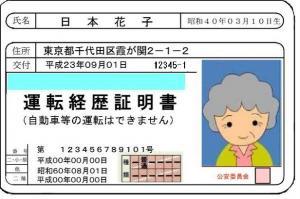 運転経歴証明書(見本)