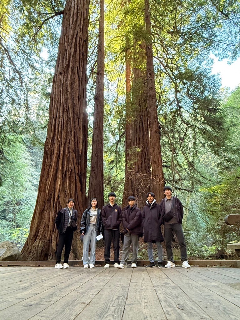 フェアフィールド市派遣学生がミューア・ウッズ公園に行った時の様子