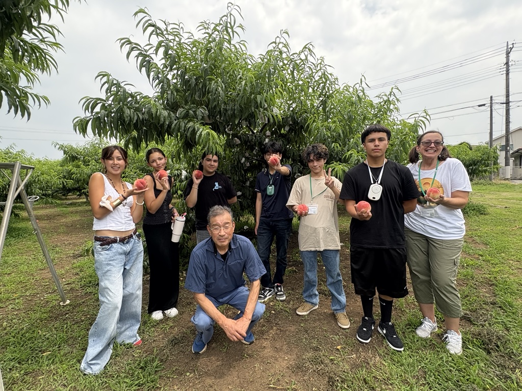 フェアフィールド市の学生が桃狩りを体験した際の様子