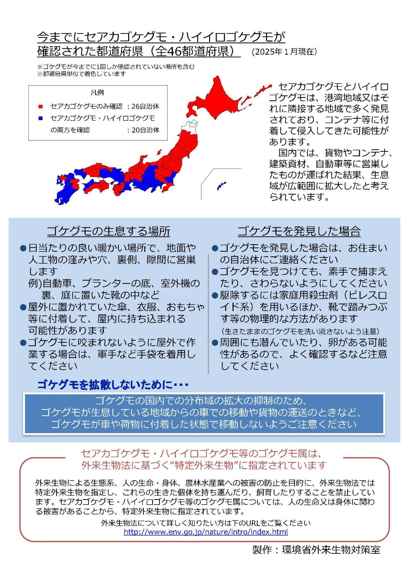 セアカゴケグモ注意喚起チラシ