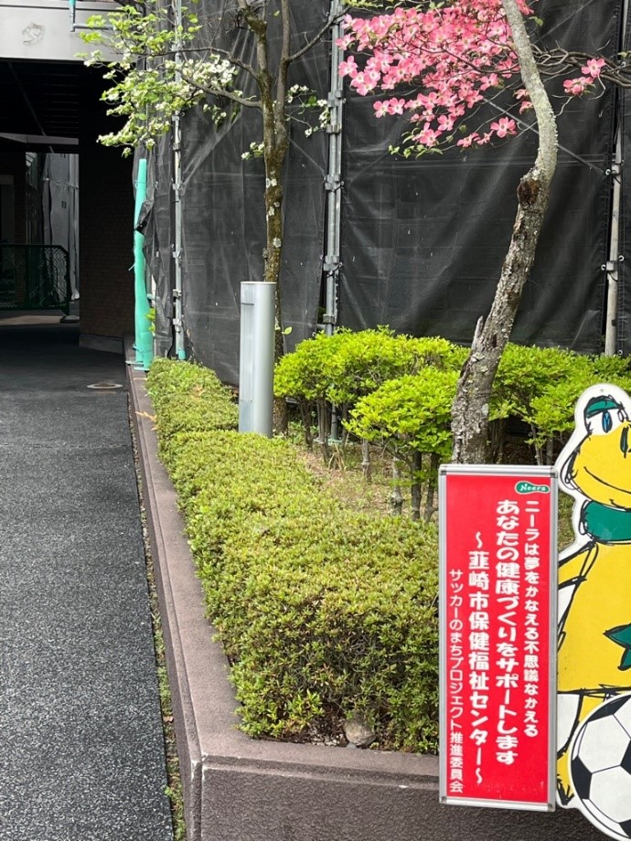 入口