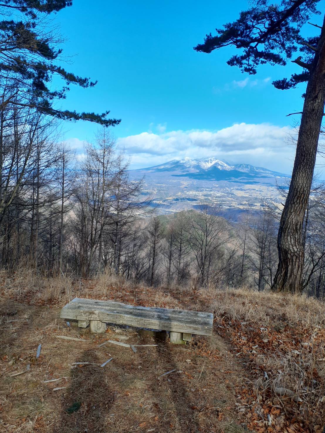 荒倉山からの景色