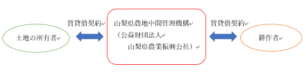 中間管理制度
