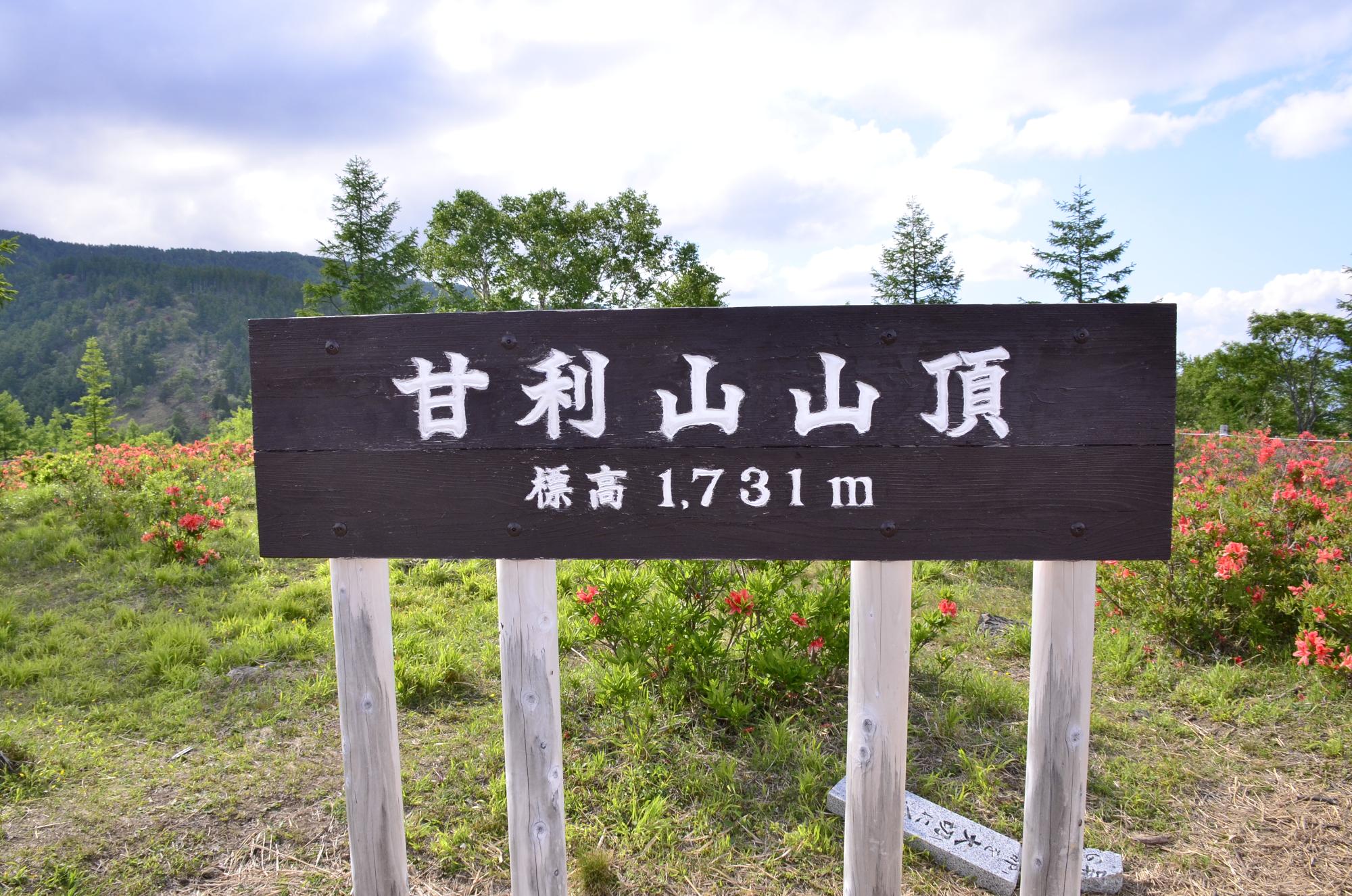 甘利山山頂