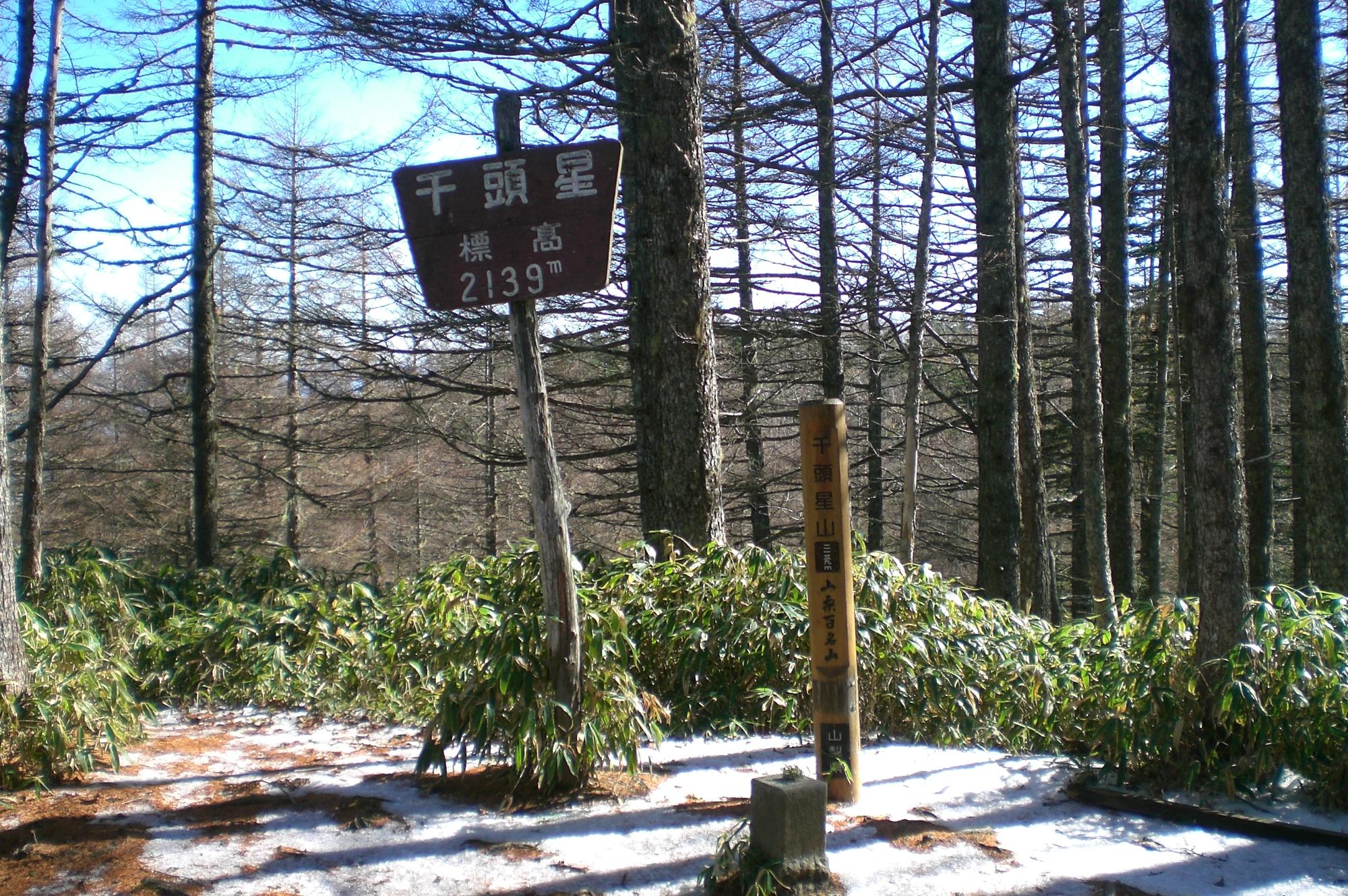 千頭星山山頂