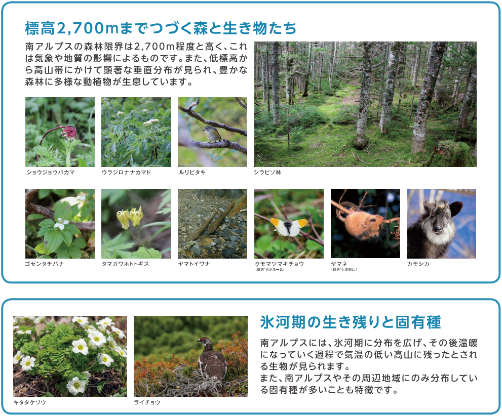 ユネスコ生物図