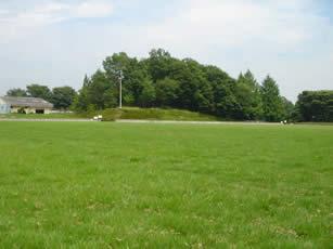 緑が一面に広がる芝生広場の写真