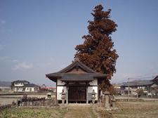 周りには田んぼが広がっており、1本の杉の木がの前に作られている昌福寺（観音堂）の写真