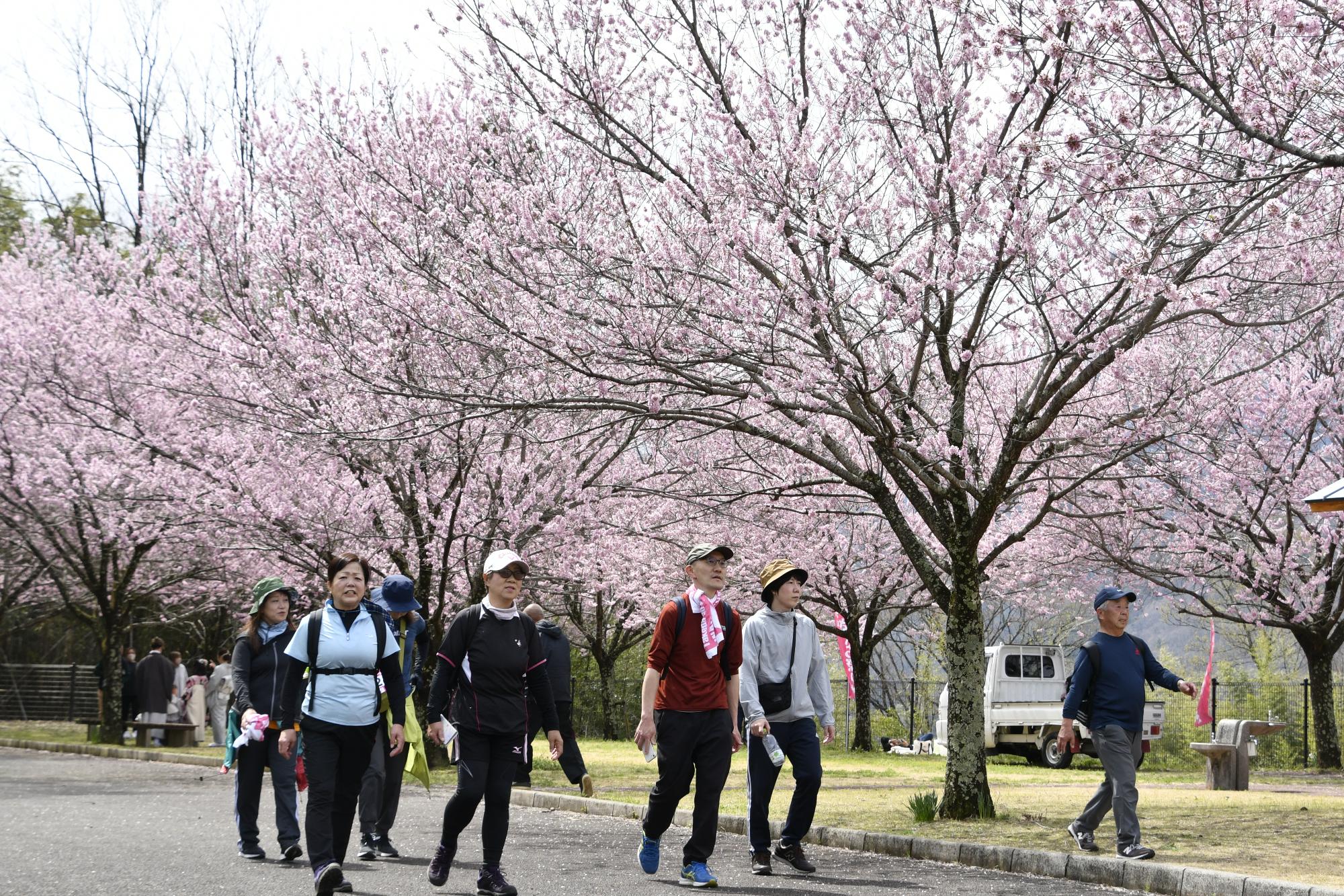 武田の里ウォークの様子