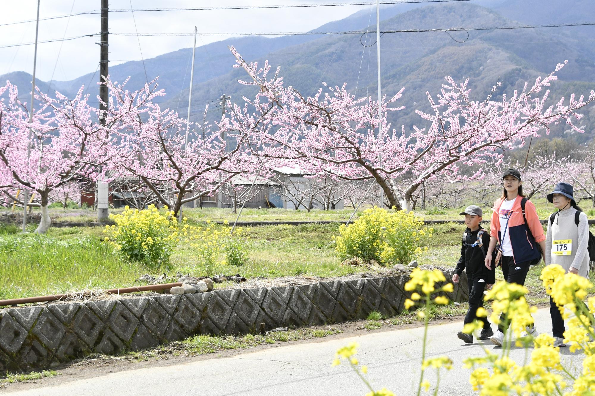 武田の里ウォークの様子