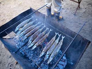 網の上で焼かれているサンマの写真