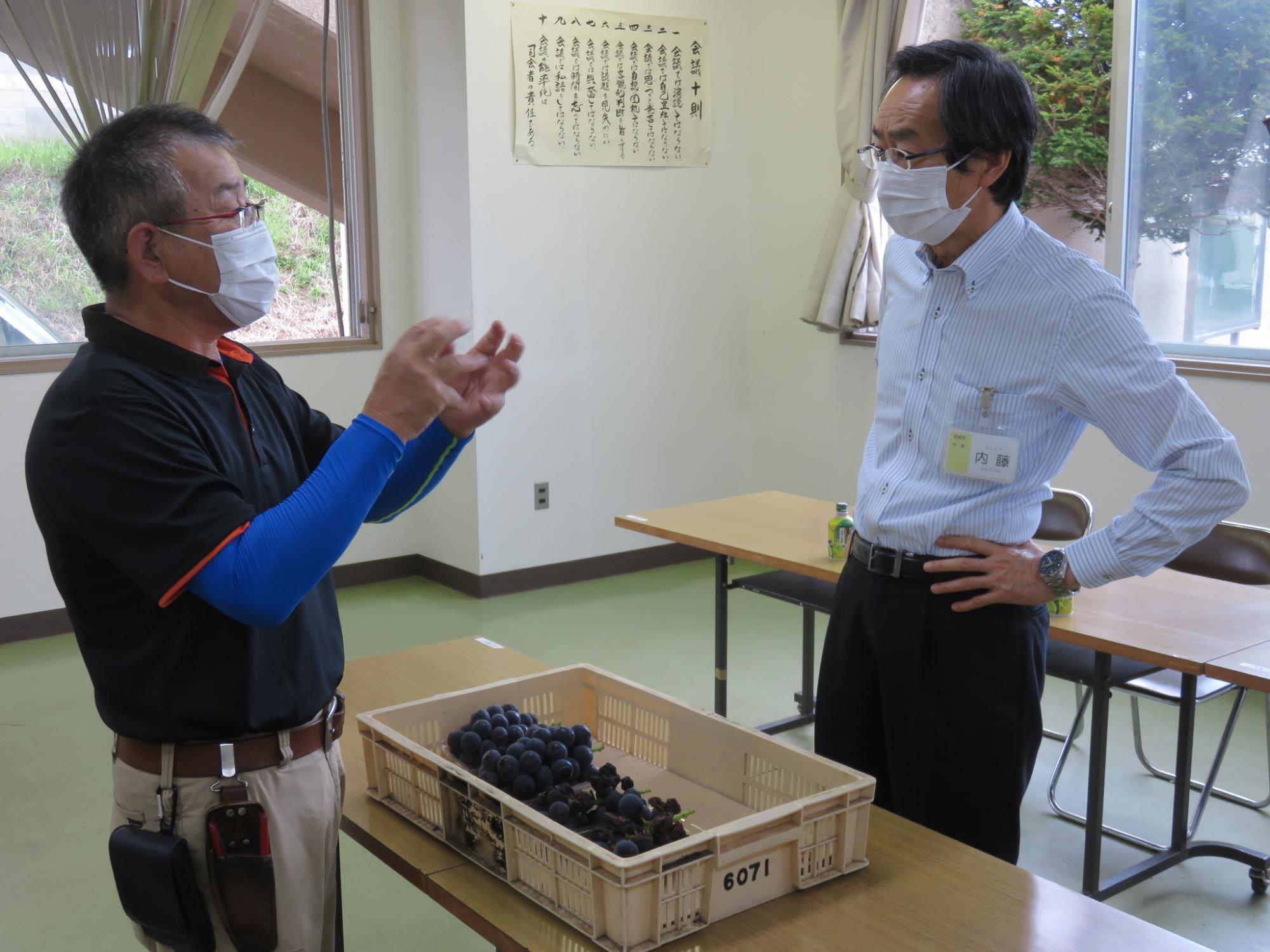 穂坂ぶどう 被害状況視察